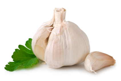 Delray Beach Garlic Fest