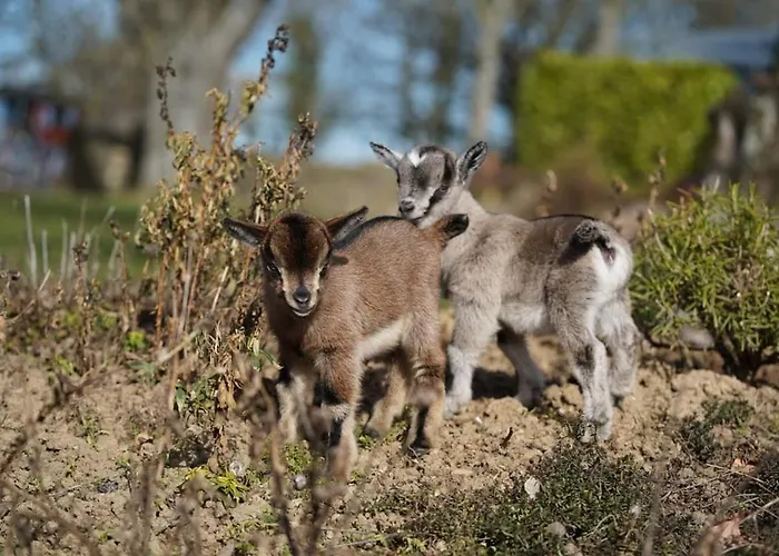Victor's Residenz Hotel Perl