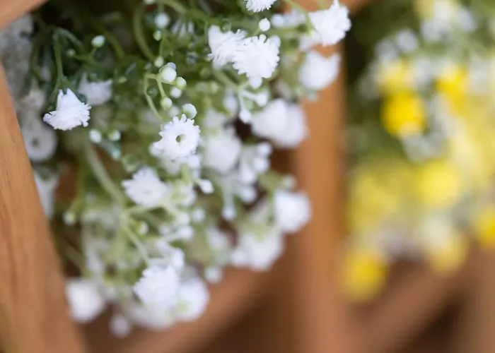 Top Hotels Near Lakeside Shopping Centre