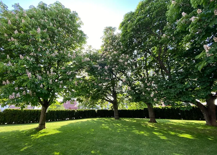 Hotel Landgasthof Kreuz Bad Waldsee